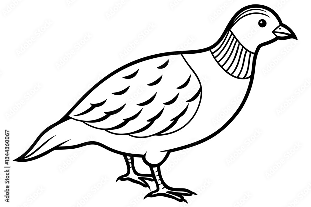 Fototapeta premium quail line art silhouette vector illustration