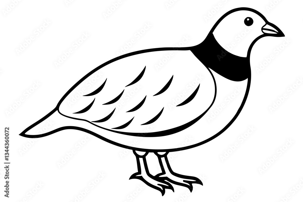 Fototapeta premium quail line art silhouette vector illustration