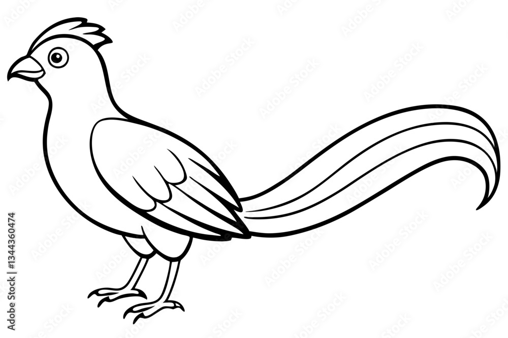 quetzal line art silhouette vector illustration quetzal line art silhouette vector illustration