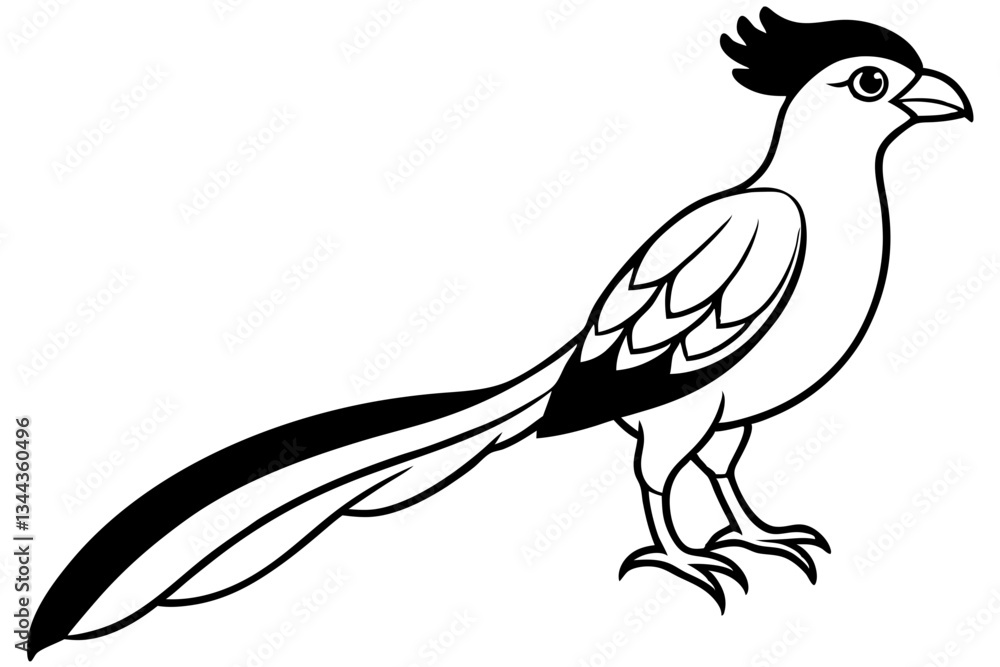 Obraz premium quetzal line art silhouette vector illustration