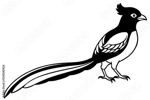 quetzal line art silhouette vector illustration