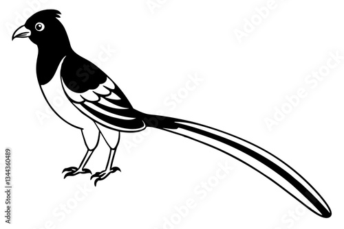 quetzal line art silhouette vector illustration
