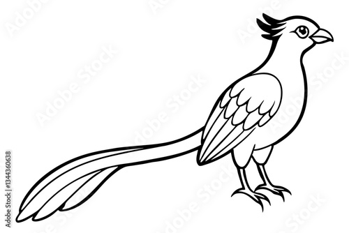 quetzal line art silhouette vector illustration