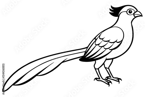 quetzal line art silhouette vector illustration