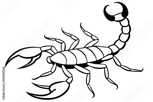scorpion line art silhouette vector illustration