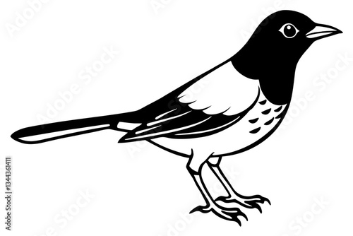 thrush line art silhouette vector illustration