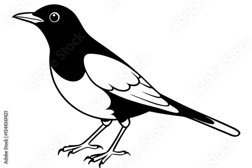 thrush line art silhouette vector illustration