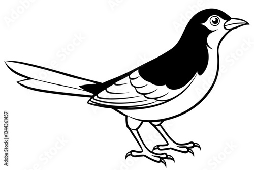 thrush line art silhouette vector illustration