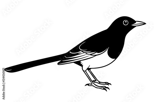 thrush line art silhouette vector illustration