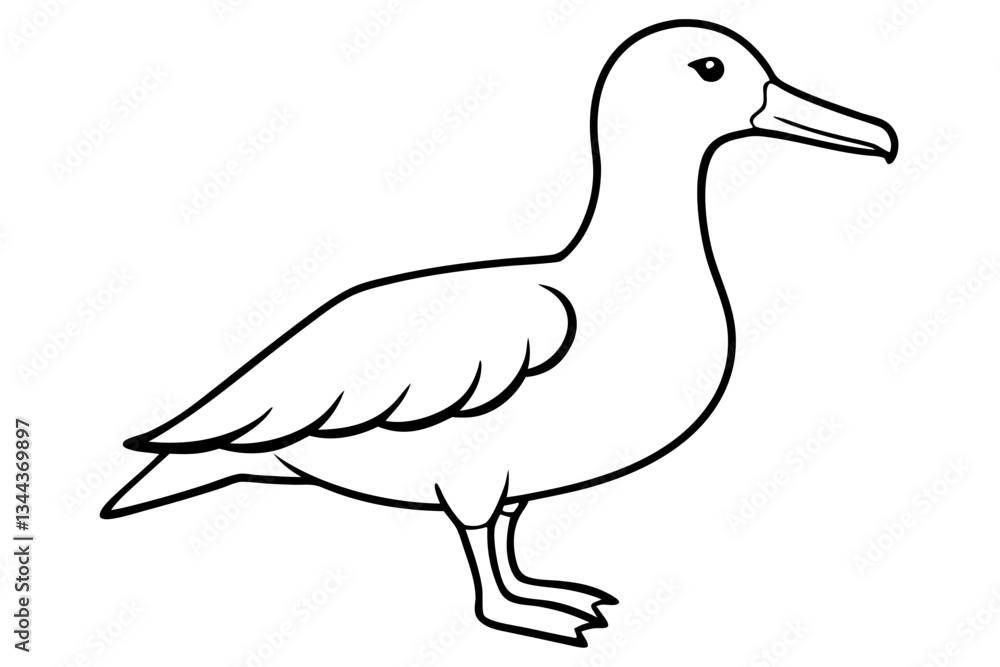 albatross line art silhouette vector illustration albatross line art silhouette vector illustration