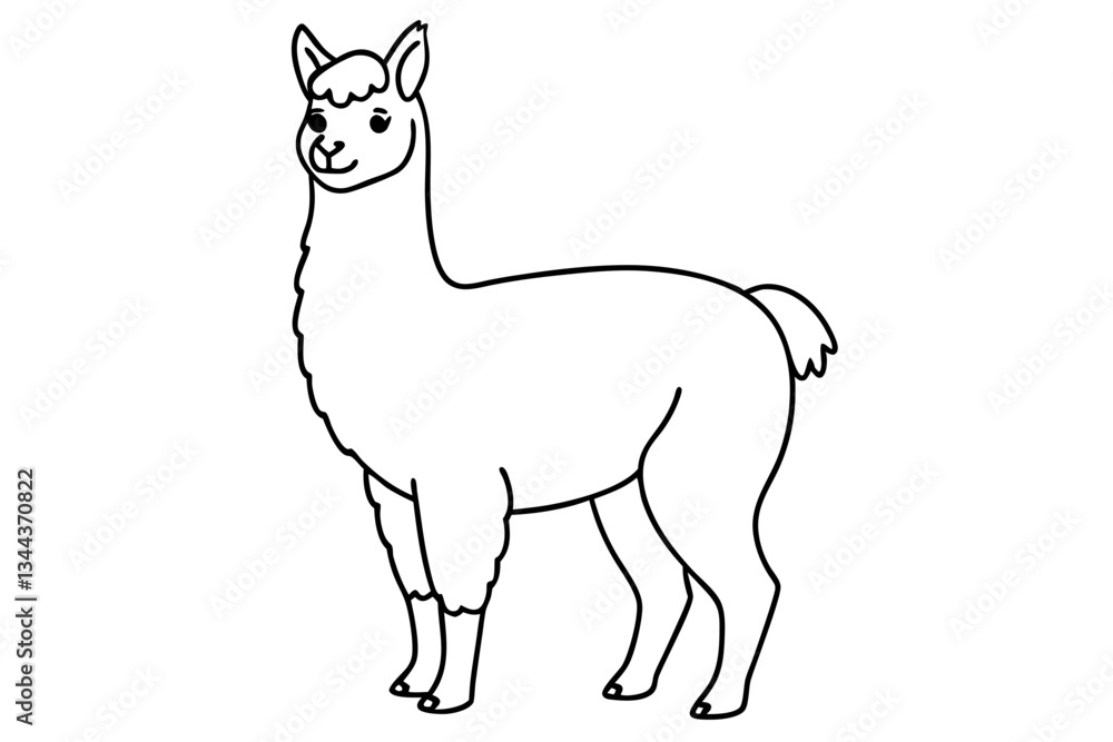 alpaca line art silhouette vector illustration