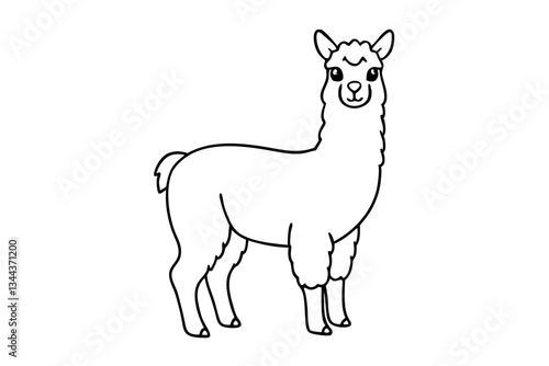 alpaca line art silhouette vector illustration