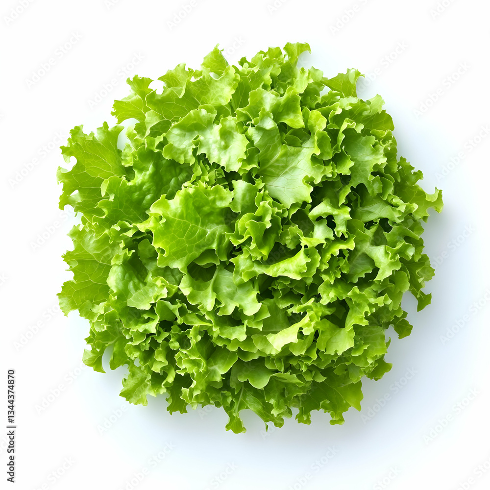 Fresh green lettuce head, overhead view. Food photography, healthy eating Fresh green lettuce head, overhead view. Food photography, healthy eating