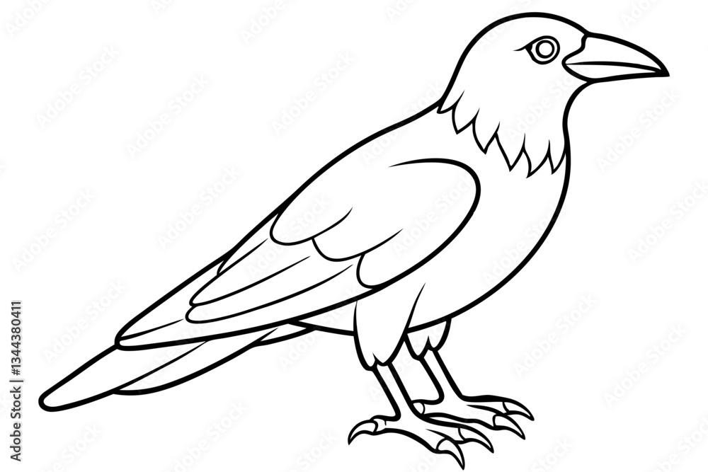 Obraz premium crow line art silhouette vector illustration