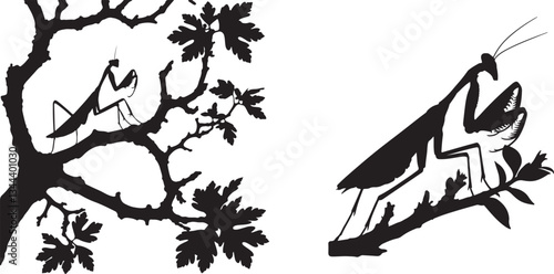 silhouette of mantis sitting on tree branch vector art illustration