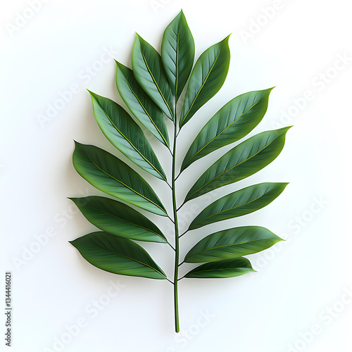 Tropical green leaf displaying vibrant beauty and natural design on white background