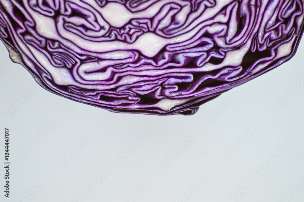 Obraz premium cabbage
