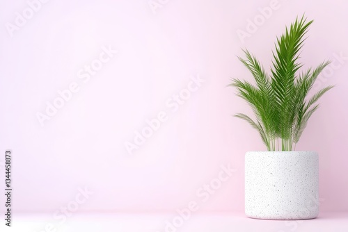 Minimalist plant arrangement against a soft pink backdrop.  A potted palm plant sits centrally against a pastel pink wall.  The design is clean, modern, and serene