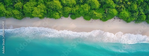 Serene Aerial View of Lush Green Coastline and Tranquil Ocean Waves