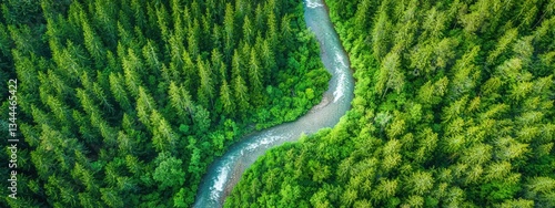 Serene Aerial View of a Winding River Through Lush Green Forest