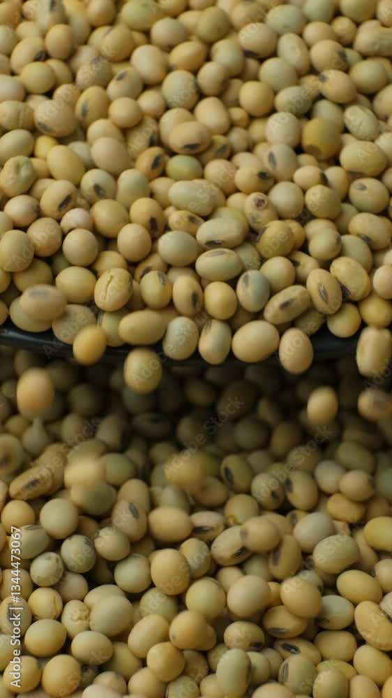 Uncooked Soybean Seeds Pour. Healthy and Nutritious Legumes. Vertical Slow Motion Uncooked Soybean Seeds Pour. Healthy and Nutritious Legumes. Vertical Slow Motion