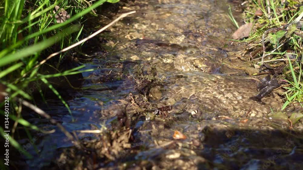 Water flows along a small spring stream in a calm stream. Water flows along a small spring stream in a calm stream.