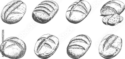 Set hand-drawn illustrations of sourdough bread loaf isolated on transparent background. Vector graphics