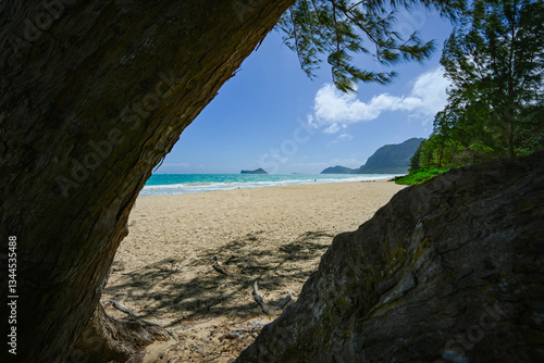 Wallpaper Mural Oahu, Hawaii Spring 2025 Torontodigital.ca