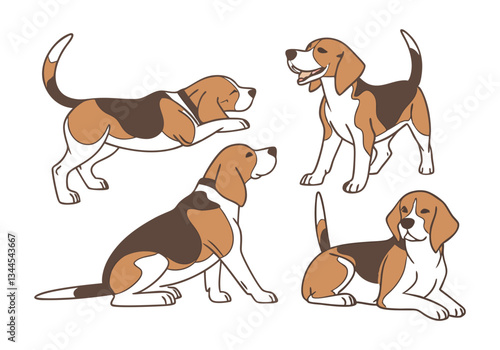Beagle Dog Vector Illustration Set | Cute Beagle Poses Collection for Pet Lovers