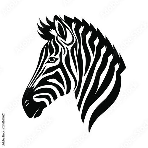 zebra vector illustration on white background