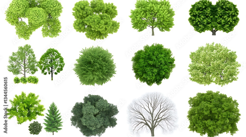 Fototapeta premium Tree collection on white, architecture, design