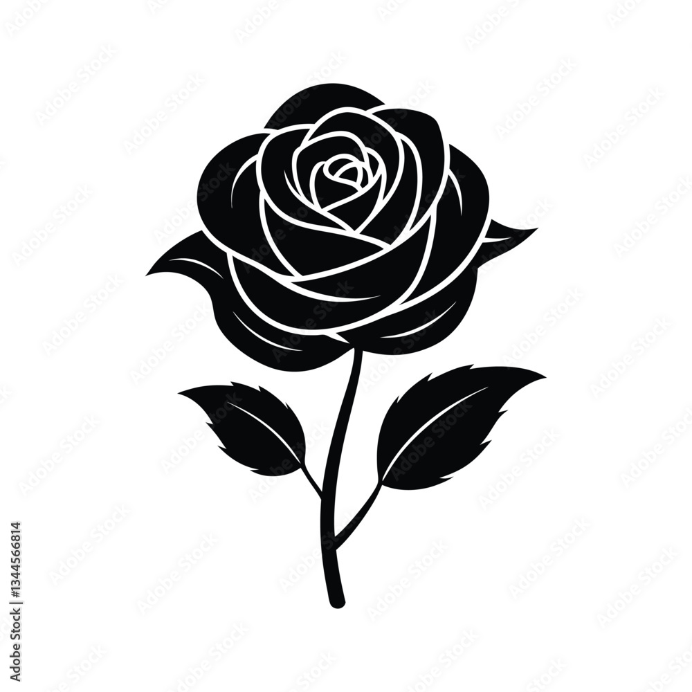 rose vector illustration rose vector illustration