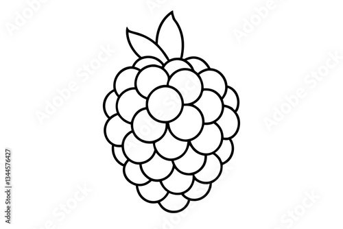 blackberry line art silhouette vector illustration