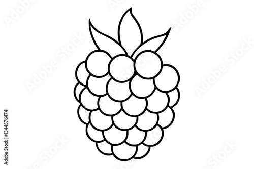 blackberry line art silhouette vector illustration