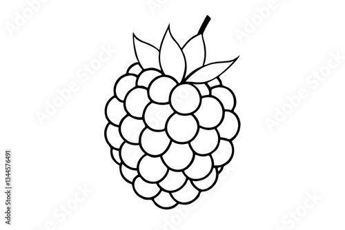blackberry line art silhouette vector illustration