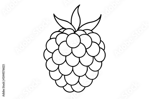 blackberry line art silhouette vector illustration