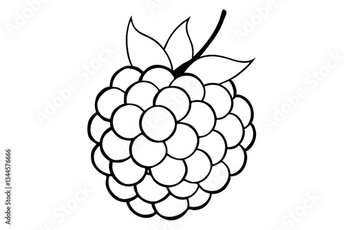 blackberry line art silhouette vector illustration