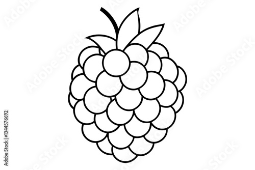 blackberry line art silhouette vector illustration
