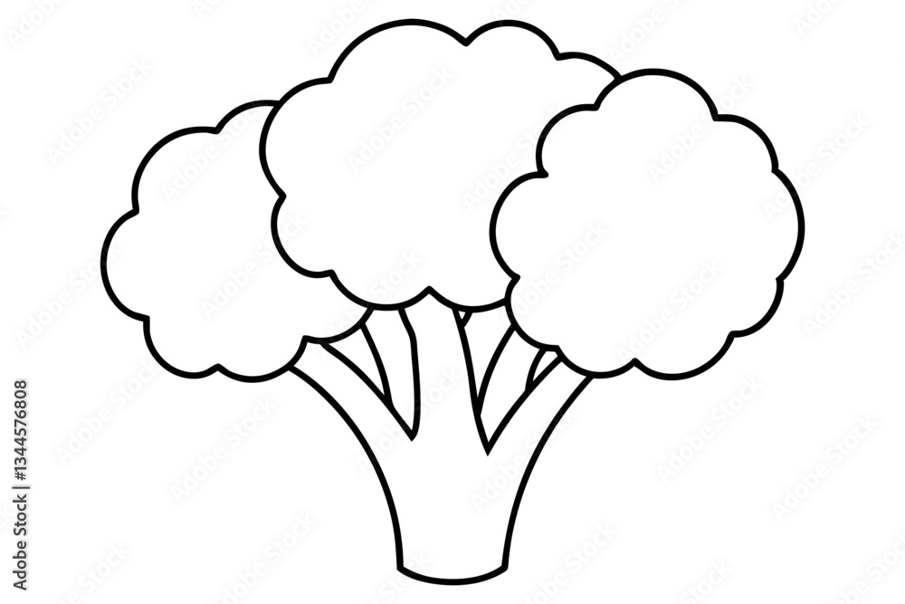 broccoli line art silhouette vector illustration broccoli line art silhouette vector illustration