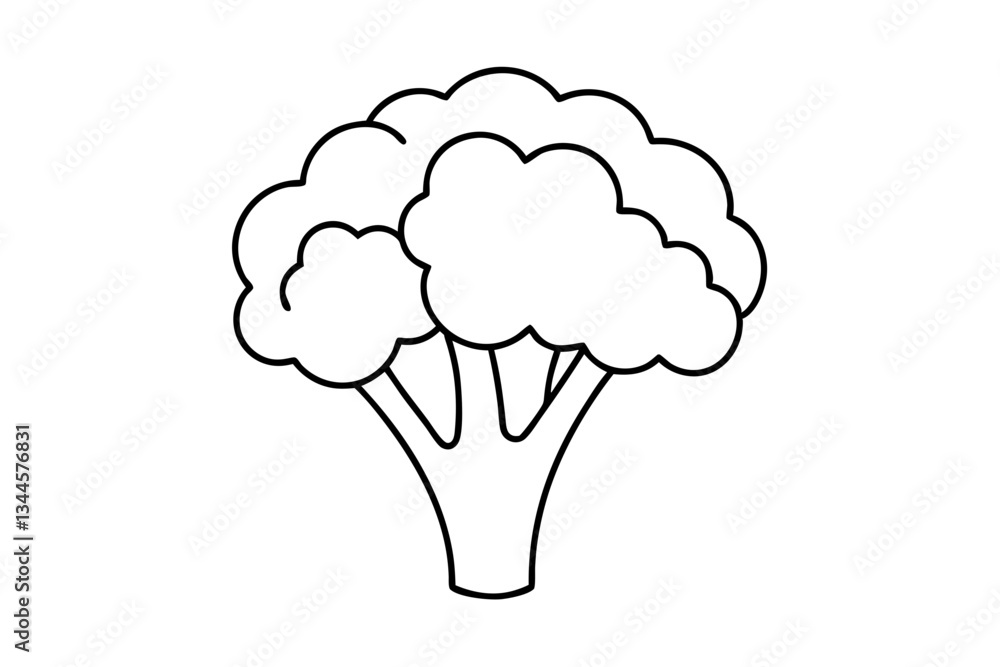 broccoli line art silhouette vector illustration broccoli line art silhouette vector illustration