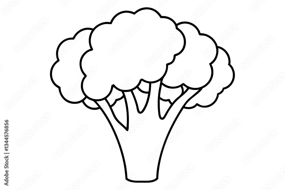 broccoli line art silhouette vector illustration broccoli line art silhouette vector illustration
