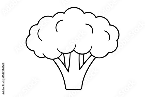 broccoli line art silhouette vector illustration