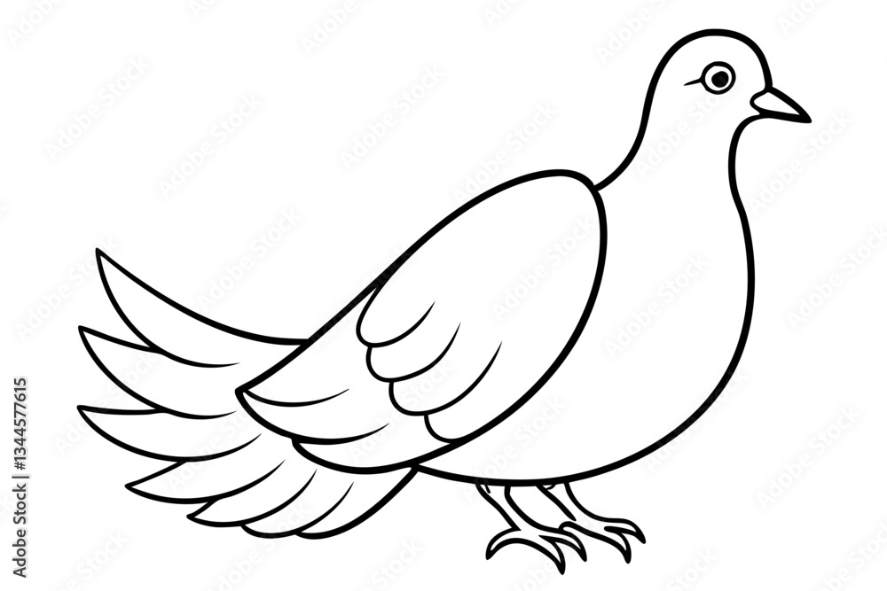 Fototapeta premium dove line art silhouette vector illustration