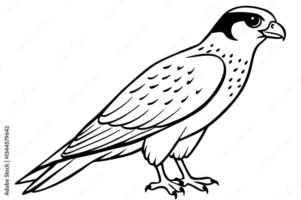 falcon line art silhouette vector illustration falcon line art silhouette vector illustration