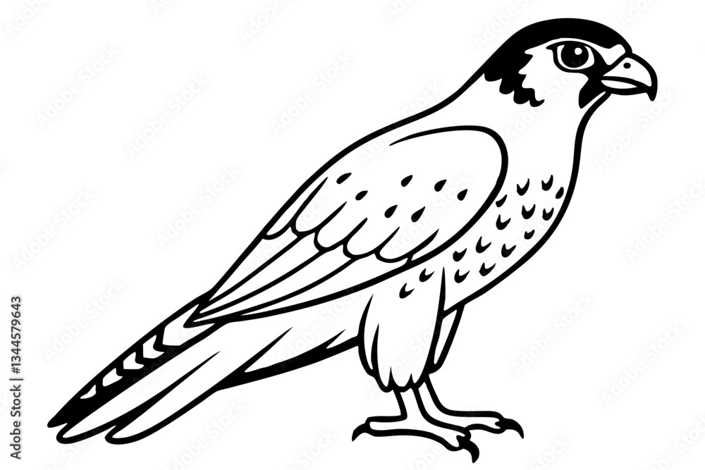 Fototapeta premium falcon line art silhouette vector illustration
