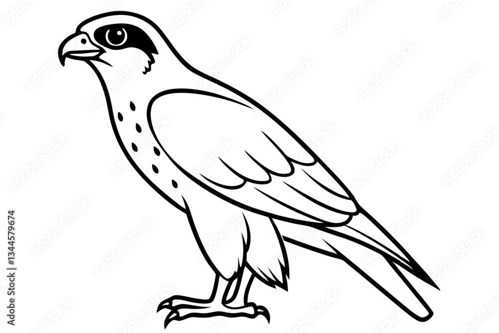 Fototapeta premium falcon line art silhouette vector illustration