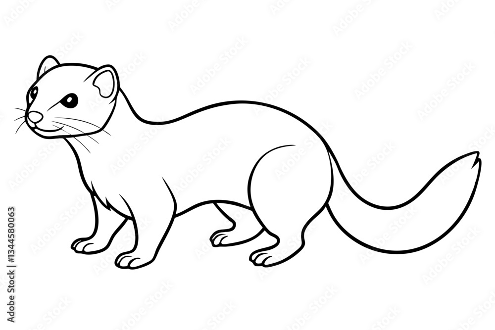 ferret line art silhouette vector illustration ferret line art silhouette vector illustration