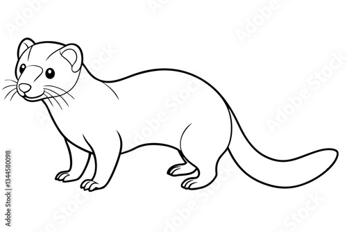 ferret line art silhouette vector illustration