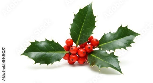 Festive Holly Berries and Leaves - Close-up of vibrant red holly berries clustered with glossy green leaves, perfect for holiday designs