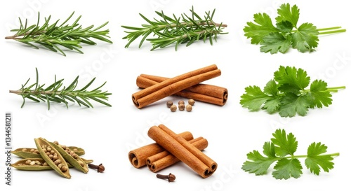 Fresh Herbs and Spices Collection - Aromatic rosemary, cilantro, cinnamon sticks, and cardamom pods. Perfect for culinary and wellness imagery